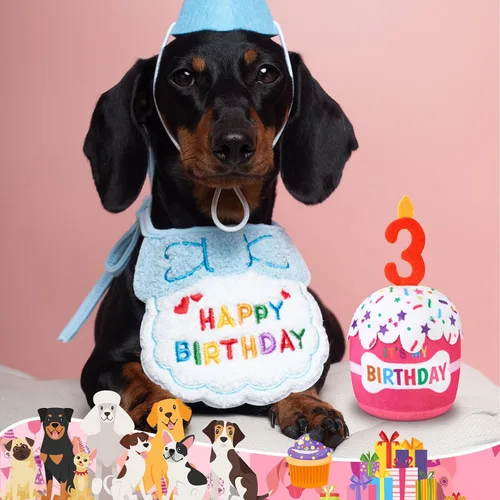 Miniatura 5 de Dansydaisy Accesorios de juguete de pastel de cumpleaños para perros, regalos para niñas y niños, juguete de peluche chirriante para decoración