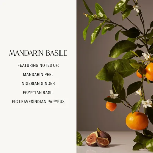 Miniatura 2 de Homecourt Crema de manos de albahaca mandarina (12 onzas líquidas), dermatológicamente probada, no grasa, humectante, formulada con extracto de flor