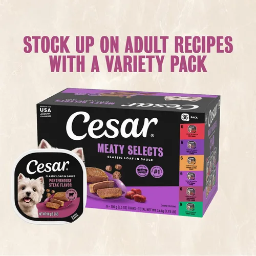 Miniatura 12 de Cesar Clásico - Comida húmeda para perros adultos en salsa con sabor a chuletón, comida húmeda para perros, bandejas fáciles de pelar de 3.5 oz, 24