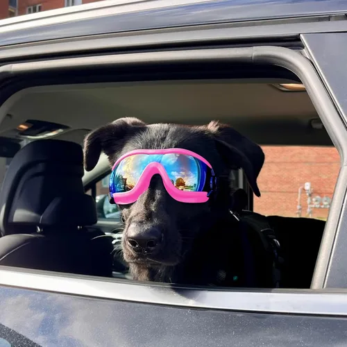 Miniatura 8 de Gafas de sol transparentes para perros NAMSAN y gafas de sol negras para perros de raza mediana a grande, 2 piezas, protección ocular para perros al
