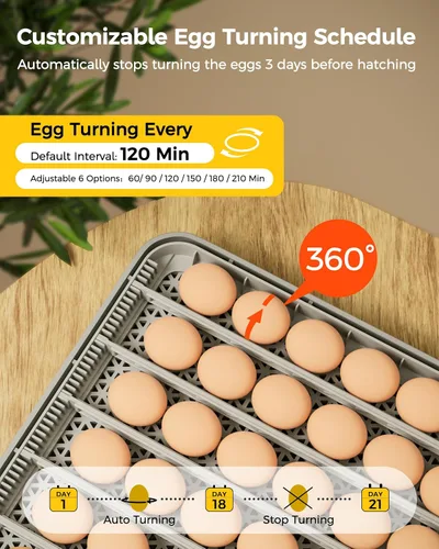 Miniatura 3 de Incubadora de 48 huevos para eclosionar con giro automático de huevos y control de humedad, vela de huevos, incubadora de huevos de aves de corral