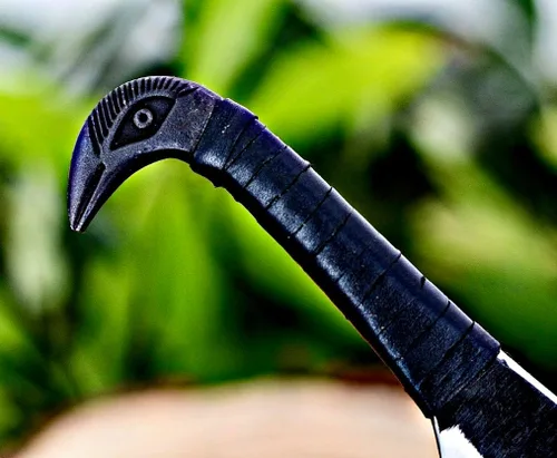Miniatura 5 de Poshland - Cuchillo nórdico Viking de Odin Raven de 10.3 pulgadas - Hoja de acero al carbono forjada a mano de 6.5 pulgadas, empuñadura de cabeza