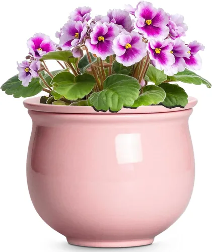 Miniatura 9 de Macetas de riego automático de 6 pulgadas para plantas de interior, macetas de cerámica violeta africana con maceta interior absorbente, maceta