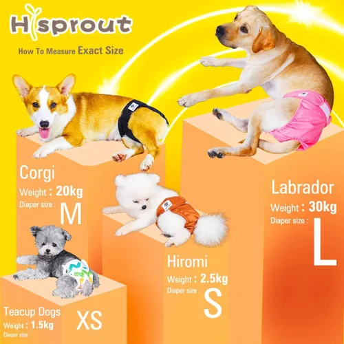 Miniatura 3 de Pañales para perras, reutilizables, lavables, duraderos, absorbentes, de tela para perritos, de mariposa y tucán, talla M