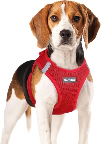 Miniatura 138 de rabbitgoo Arnés para perro pequeño, chaleco de malla suave para cachorros con hebilla de seguridad, arnés reflectante transpirable para mascotas