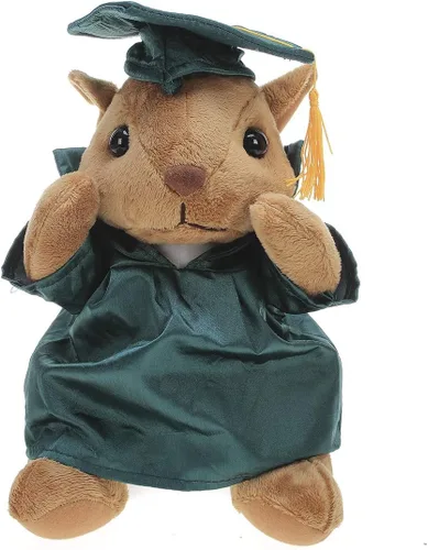 Miniatura 11 de Plushland Juguetes de peluche de ardilla, regalos para el día de graduación, texto personalizado, nombre o logotipo de tu escuela en el vestido, lo
