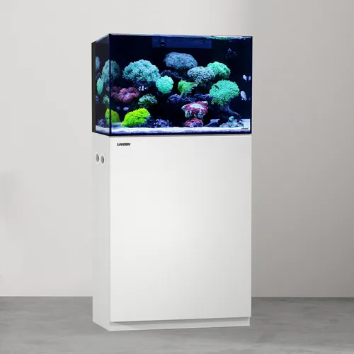 Miniatura 19 de Landen Soporte de madera para acuario y gabinete para tanque de hasta 20 galones, soporte de tanque de agua salada y reptil de peces, alfombrilla