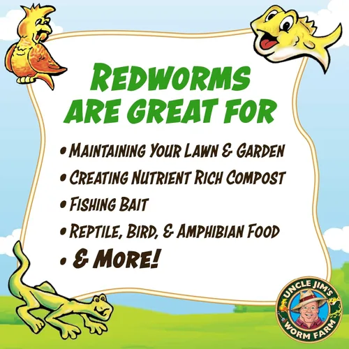 Miniatura 3 de Uncle Jim's Worm Farm Mezcla de gusanos de compostaje Red Wiggler de 250 unidades para suelo de jardín o pesca Paquete de iniciación de gusanos