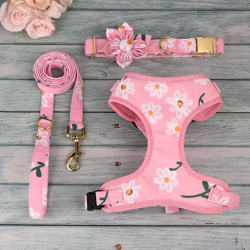 Miniatura 5 de Beirui Collares, arneses y correas para perritas lindas - Juego de collar y correa ajustable para perros con flor - Arnés de malla suave para Rosa