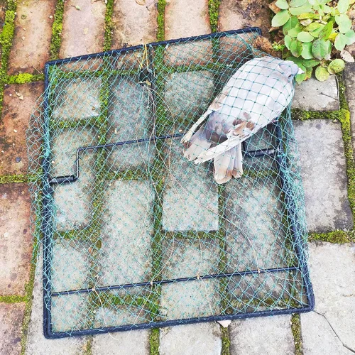 Miniatura 5 de Trampa para Aves Codorniz Paloma Control de Animales Vivos Primavera Aprisionamiento de Estorninos y Pollos