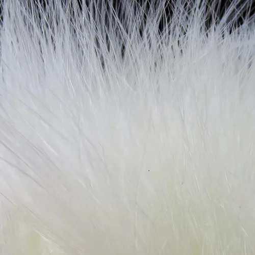 Miniatura 21 de Hareline Marabou Strung Blood Quills 1 OZ Paquete