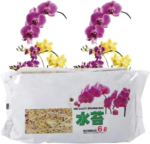 Musgo de esfagno de fibra larga, 6L de mezcla de musgo esfagnum para plantas carnívoras, orquídea Phalaenopsis, sarracenia, trampas para moscas,