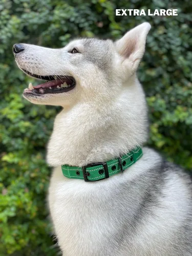 Miniatura 6 de Tuff Pupper Collar de perro resistente con asa Collar de nailon balístico resistente Collar de perro reflectante acolchado con herrajes de acero