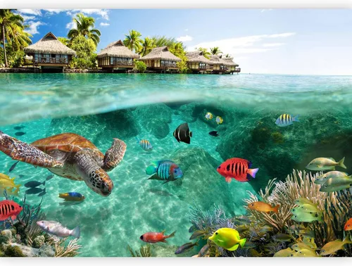 Miniatura 11 de artgeist Mural de pared premium mundo submarino, 98 x 69 pulgadas, papel tapiz no tejido XXL, decoración de pared de vellón, impresión fotográfica