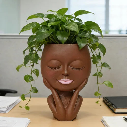 Miniatura 10 de Macetas Cara de Plantas en Forma de Cabeza - Lindas Macetas para Suculentas, Macetas para Plantas de Interior con Sistema de Drenaje, Regalos