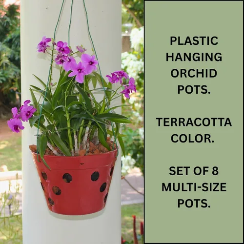 Miniatura 2 de Juego de 8 macetas de orquídeas colgantes de plástico grueso fuerte con agujeros y perchas. 2 macetas de orquídeas de 9 pulgadas de ancho, 7.5