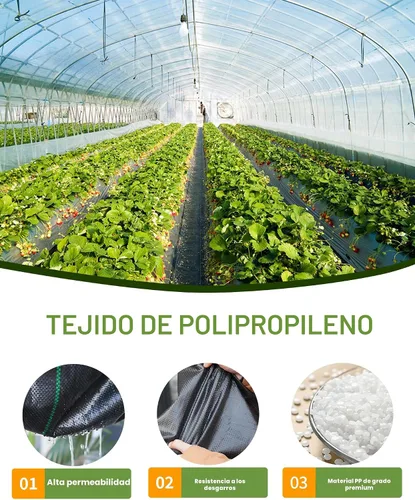 Miniatura 6 de Pterying Tela de barrera de malezas de 2.6 x 100 pies, resistente, tela geotextil de jardín de primera calidad, bloqueador de malas hierbas