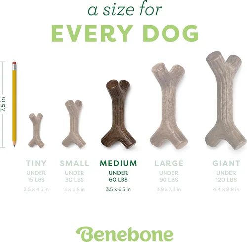 Miniatura 4 de Benebone Bacon Stick - Juguete masticable duradero para perros masticadores agresivos, tocino real, fabricado en Estados Unidos, mediano