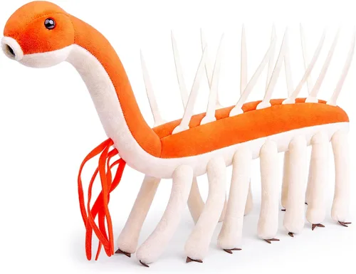 Miniatura 11 de Juguete de peluche realista de organismo antiguo cámbrico Microdictyon – Simulación de 20" de criatura marina del Cámbrico Microdictyon