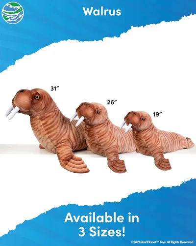 Miniatura 3 de Real Planet Peluche de Sea Life, regalo realista para niños de todas las edades, peluche de criatura marina morsa, regalos de cumpleaños de Navidad