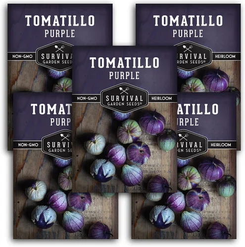 Miniatura 12 de Semillas de tomatillo morado para plantar, tomate de cáscara mexicana de reliquia, vegetal polinizado abierto sin OMG de alto rendimiento para salsa