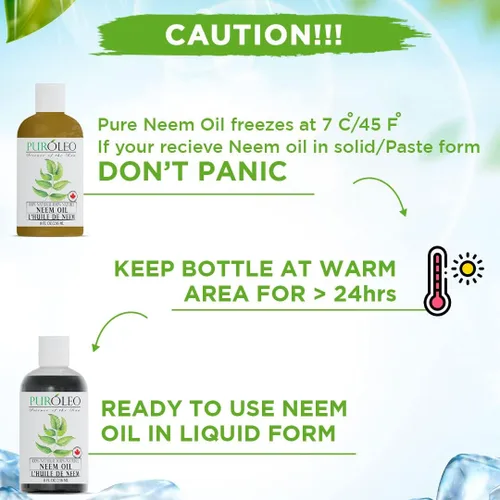 Miniatura 7 de PUROLEO NEEM - Aceite de neem 100% puro y natural para uso multiusos, 8.0 fl oz (empaquetado en Canadá), neem extraído de NEEM Plante, libre