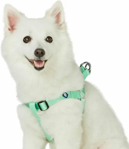 Miniatura 10 de Blueberry Pet Essentials Step-in - Arnés para perro, tamaño mediano, chaleco ajustable rosa fucsia, nailon sólido clásico para perros machos