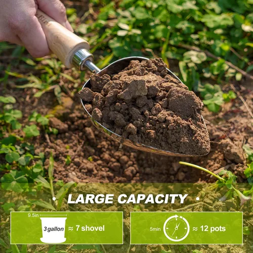 Miniatura 4 de Berry&Bird Cuchara de tierra de gran tamaño, de acero inoxidable con mango de madera, cuchara de pala de mano multifunción para trasplantar, plantar