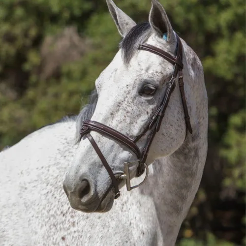 Miniatura 7 de Exion - Brida de salto anatómica para caballos con banda nasal extraíble y riendas de goma, cuero curtido vegetal de primera calidad, hebillas