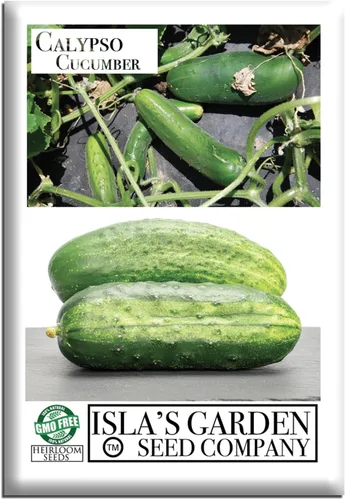 Semillas de pepino Calypso para plantar, más de 25 semillas de reliquia por paquete, semillas de jardín de Isla (semillas de jardín de Isla),