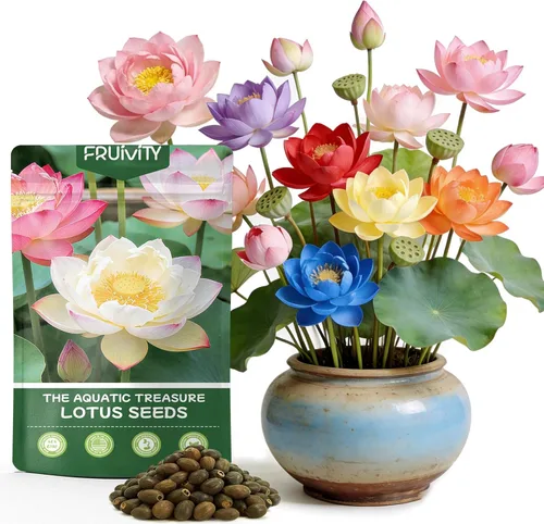 30 semillas de loto para plantar en agua