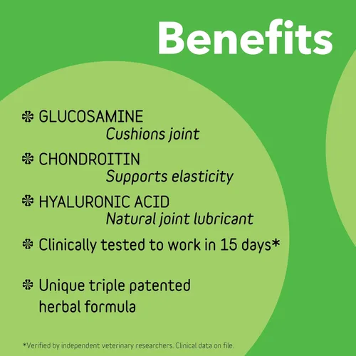 Miniatura 3 de InClover Connectin Suplemento natural para cadera y articulaciones para gatos con glucosamina, condroitina y ácido hialurónico, polvo