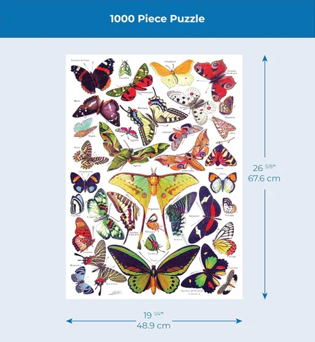 Miniatura 4 de New York Puzzle Company - Vintage Images Butterflies ~ Papillons - Rompecabezas de 1000 piezas para adultos por Adolphe Philippe Millot