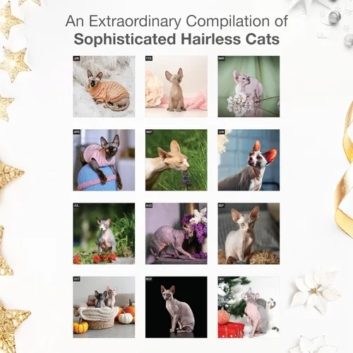 Miniatura 3 de RED EMBER Hairless Cats - Calendario de pared 2026 de 12 meses, 12 x 24 pulgadas, abierto, papel grueso y resistente, para regalo, calendario 2026