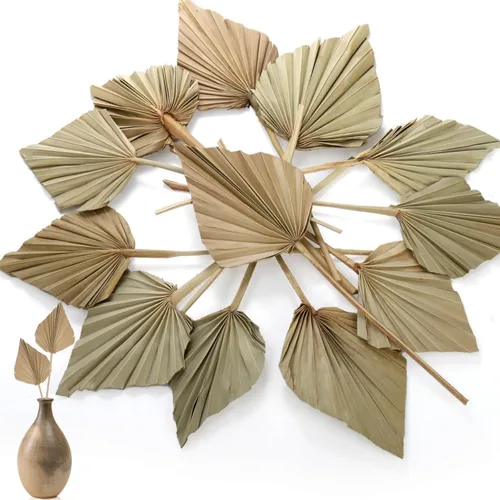 AVLA Paquete de 12 hojas de palma secas bohemias, abanicos de palma seca con tallo, lanzas secas naturales, decoración de hojas secas tropicales