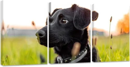 Miniatura 17 de ZXHYWYM Impresiones personalizadas con tus fotos, imágenes personalizadas de 3 piezas para retratos familiares, mascotas, imágenes personalizadas 3