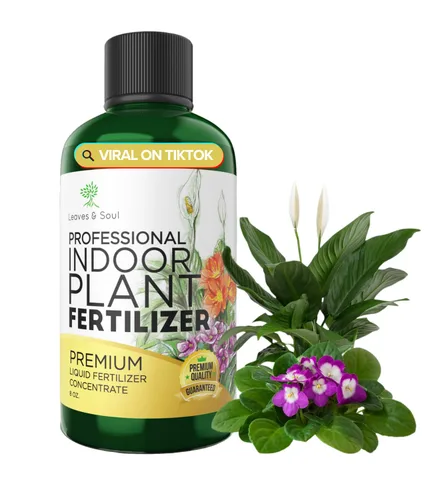 Miniatura 12 de Dracaena profesional fertilizante líquido 3-1-2 concentrado de 8 onzas, alimento líquido prémium para plantas de interior, fertilizante líquido