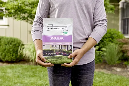 Miniatura 6 de Fundamentals by Scotts Semilla de Césped Mezcla de Raygrass Perenne, Ideal para Zonas Soleadas y de Alto Tráfico y Control de Erosión, 3 libras