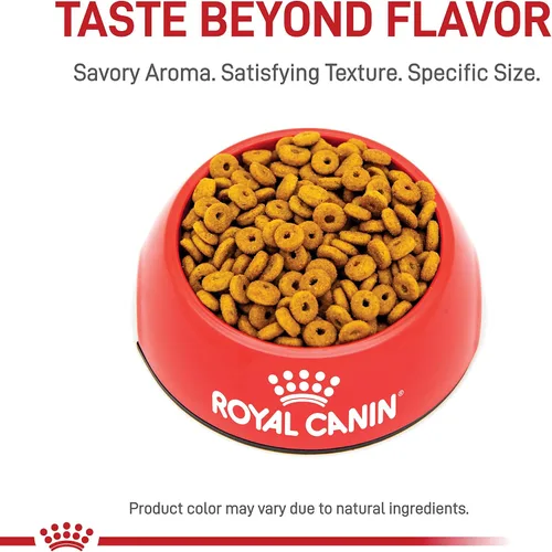 Miniatura 6 de Royal Canin Feline Care Nutrition Appetite Control Care Alimento seco para gatos adultos, bolsa de 6 libras