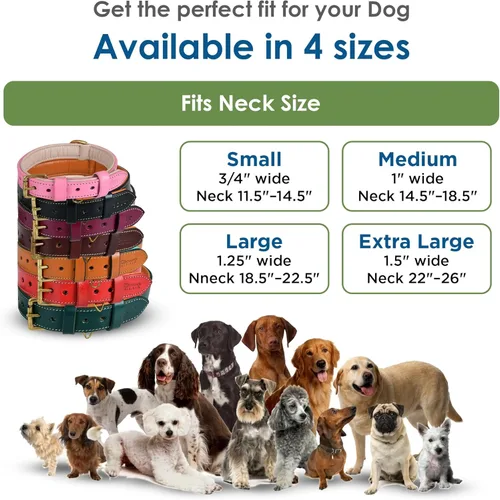 Miniatura 4 de Collar de perro de cuero para perros medianos, marrón, 1 pulgada de ancho, cuero genuino de grano completo, resistente con acolchado interior suave