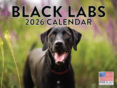 Miniatura 96 de Calendario de pared mensual 2025 Great Dane de 12 meses, fabricado en Estados Unidos