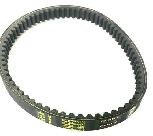 Correa de transmisión Trailmaster 669 para usar con convertidores de par Trailmaster Blazer 200 y Mid XRX, XRX y serie 30 - 9.110.669
