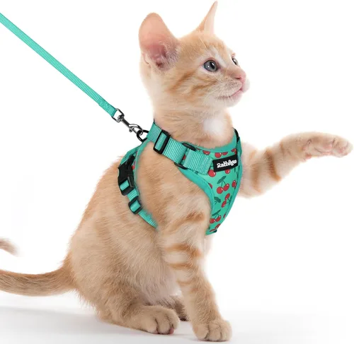 Miniatura 75 de rabbitgoo Cat Harness and Leash Set, Escape Proof Vest, XXS, Berry Pounce Soft Breathable Mesh, No-choke Adjustable Fit, Snap Buckles, Sturdy