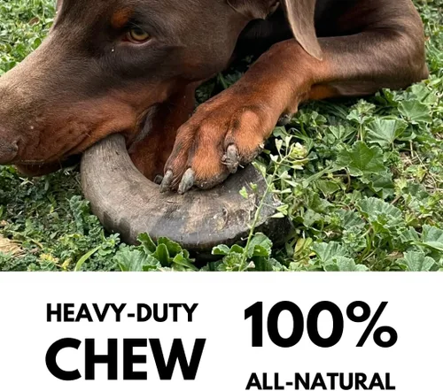 Miniatura 4 de WhiteTail Naturals - Cuernos de búfalo de agua para perros (paquete de 2 grandes) Hueso de perro totalmente natural - Hueso masticable de larga