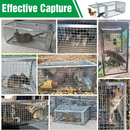 Miniatura 4 de Trampa para animales vivos, jaula plegable resistente para gatos, ardillas, zorrillos, mapaches, zorros, zorros, captura y liberación de zorros