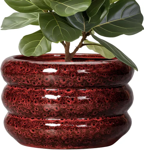 Miniatura 10 de Maceta de cerámica SQOWL para plantas de 8 pulgadas - Maceta de interior con orificio de drenaje para plantas de exterior, maceta floral moderna