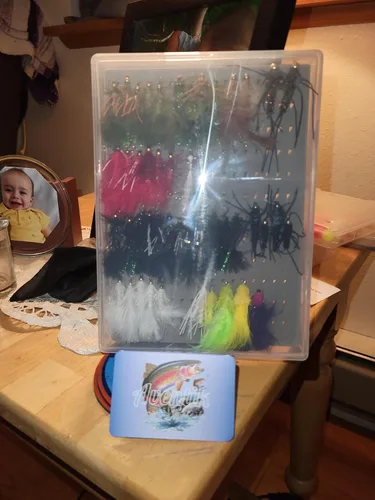 Miniatura 6 de Aventik Cajas para moscas de gran capacidad, tapa transparente de espuma delgada, colección PP, cajas de pesca de competición para anzuelos de pesca