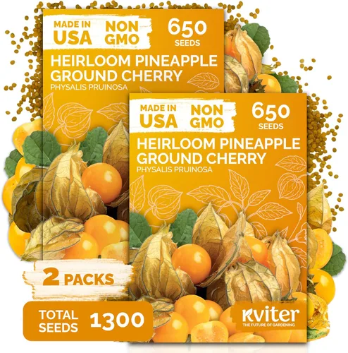 Miniatura 23 de KVITER Mezcla de 100 semillas de calabaza pequeñas (Cucurbita Pepo), paquete de 2 – Calabazas ornamentales de otoño, sin OGM – Semillas de reliquia
