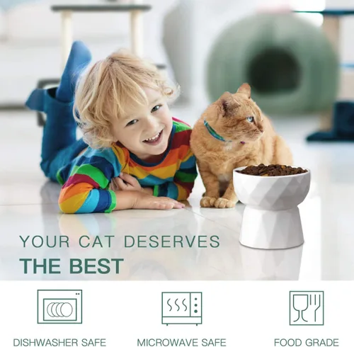 Miniatura 5 de Frewinky Cuencos para gatos, cuencos de cerámica para gatos antivómitos, juego de cuencos elevados para alimentos y agua para gatos y perros Blanco