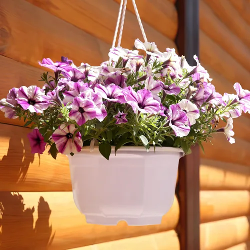 Miniatura 5 de 8-Inch Hanging Planters Octagonal Plastic Flower Pots with Hook, 10pcs Indoor Hanging Plant Baskets for Balcony and Garden, White Gardening